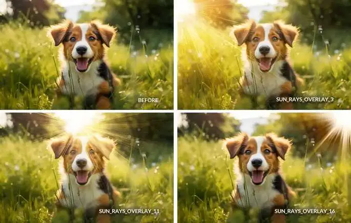Realistic Sunlight Overlays PNG and JPG